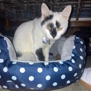 Meet your Posher, Dylan